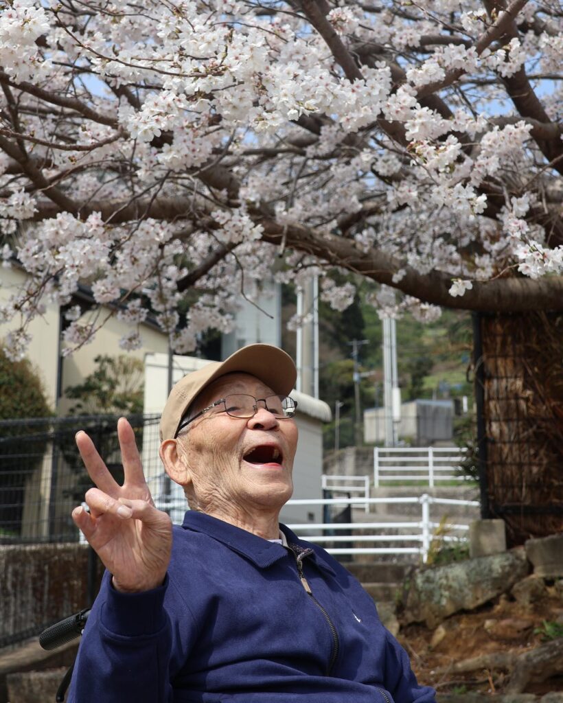 お花見