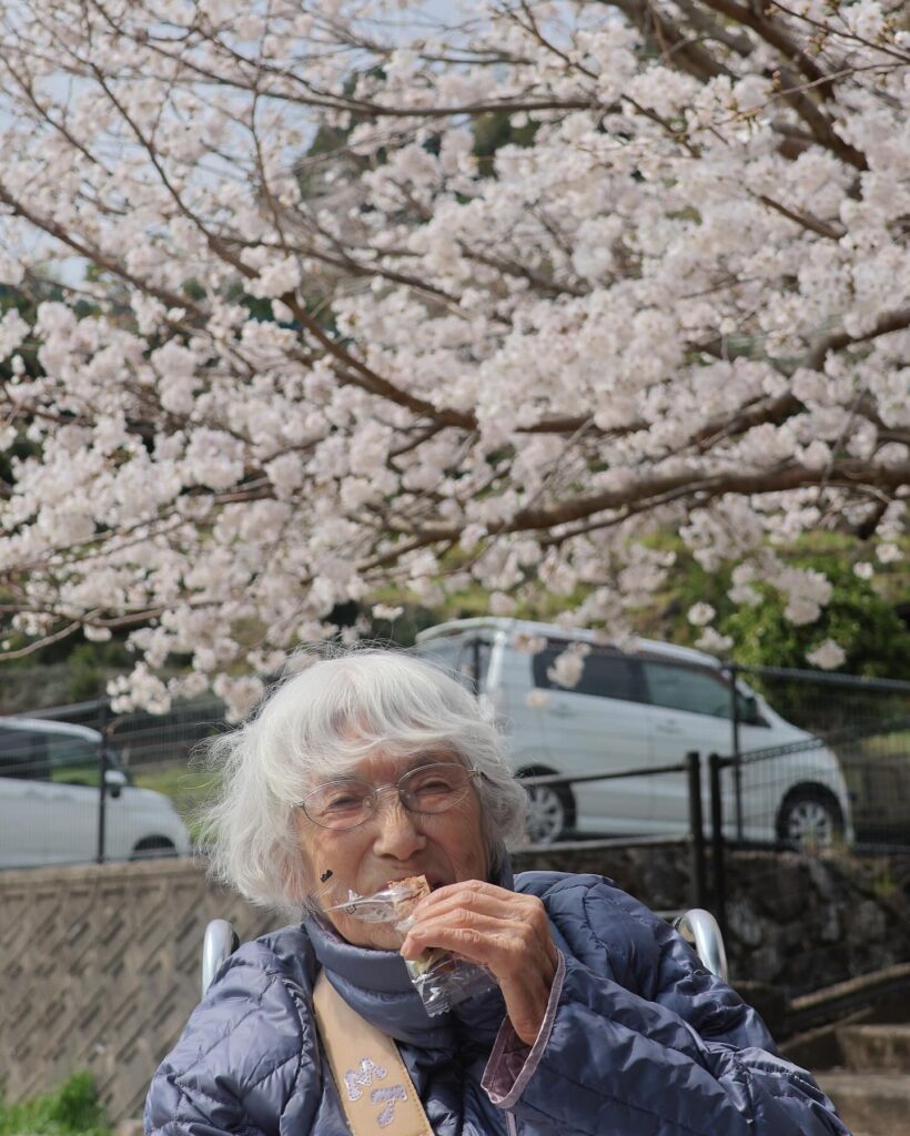 お花見