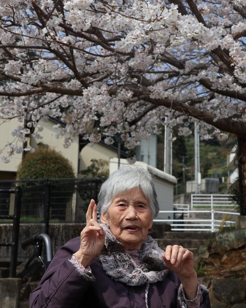 お花見